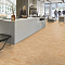 Marmoleum Marbled Real 3075 Shell - 2.5